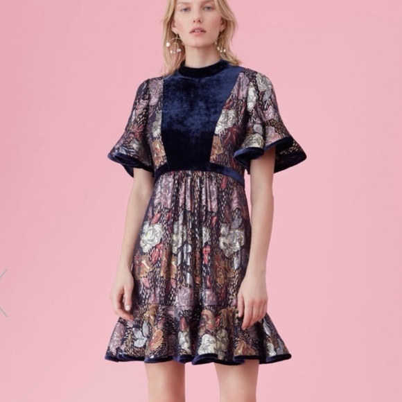 Rebecca Taylor Navy Blue Floral Metallic Short Sleeve Clip Velvet Flounce Dress - Picture 1 of 9